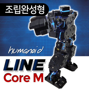 [Line core-m] 라인코어엠/휴머노이드로봇/mrt/엠알티/댄스로봇/댄싱로봇/행사로봇
